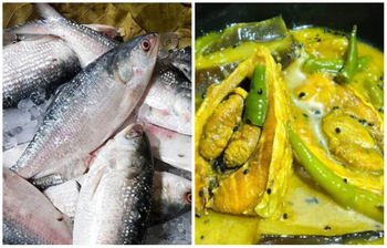 ইলিশ মাছ রান্নার সময় যেসব ভুল করবেন না