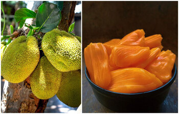 কাঁঠালের অনেক গুণ