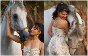 সালমানের বাগানবাড়িতে জ্যাকুলিনের ফটোশুট