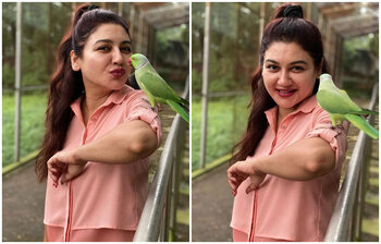 টিয়া পাখির জন্য জয়ার ভালোবাসা