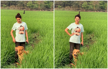 প্রিয় কুকুর নিয়ে ধানখেতে জয়া