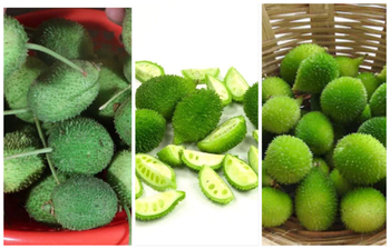 কাঁকরোল খাবেন কেনো?