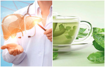 ওষুধ ছাড়া লিভার সুস্থ রাখবেন যেভাবে