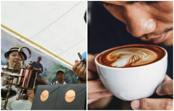 হাতির মল থেকে তৈরি হয় বিশ্বের যে দামি কফি