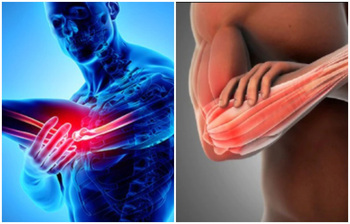 কনুইয়ে আঘাত পেলে বৈদ্যুতিক শকের মতো কেন মনে হয়?