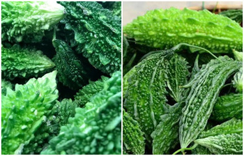 যেভাবে তিতা করলা সুস্বাদু রান্না করবেন