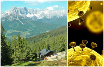 করোনা নামের সুন্দর গ্রাম