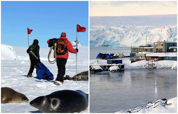 যে মহাদেশে করোনা সংক্রমণের আশঙ্কা নেই