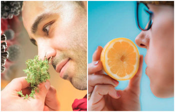 করোনায় আক্রান্তদের কী চিরতরে ঘ্রাণশক্তি নষ্ট হতে পারে?