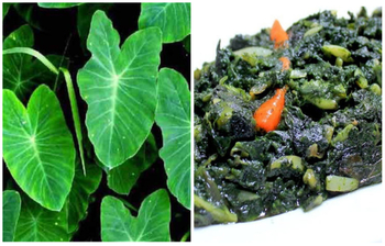 যে কারণে নিয়মিত কচুশাক খাবেন