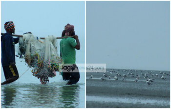 কুয়াকাটার চোখজুড়ানো ‘চর বিজয়’