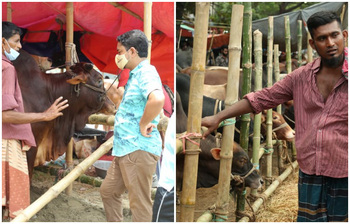 জমে উঠেছে রাজধানীর পশুর হাট