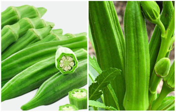 শরীরে যেসব সমস্যা থাকলে ঢ্যাঁড়শ খাবেন না