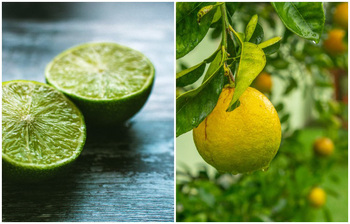 প্রতিদিন যে কারণে লেবু খাবেন