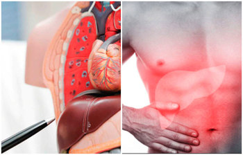 যেসব কারণে লিভারের মারাত্মক সমস্যা হতে পারে