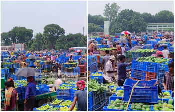 শত কোটি টাকার আম বিক্রি হয় যে হাটে