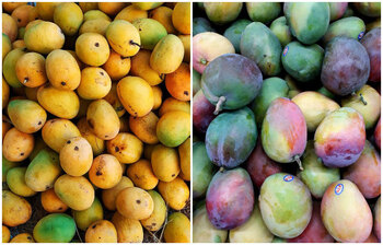 জেনে নিন আমের উপকারিতা