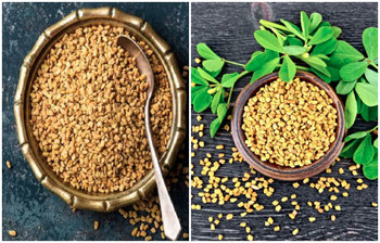 প্রতিদিন সকালে মেথি ভেজানো পানি খেলে কী হয়?