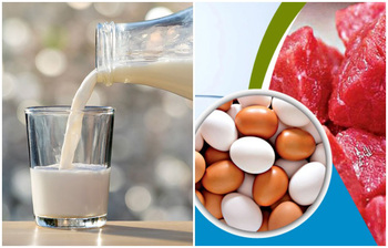 দুধ খেতে সমস্যা হলে যেসব খাবার খাবেন