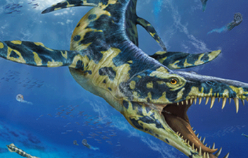 তিমির চেয়ে দ্বিগুণ বড় টিরানোসরাসের থেকেও ভয়ানক প্রাণী