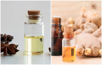 যেসব তেল পেট ঠান্ডা ও পরিষ্কার রাখে