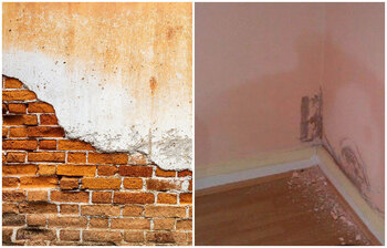 বাড়ির দেয়ালে নোনা ধরলে সহজে দূর করবেন যেভাবে