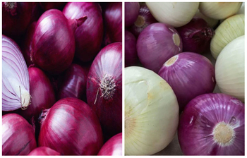 মেদ কমাবে পেঁয়াজ