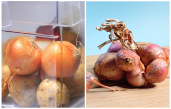 পেঁয়াজ দীর্ঘদিন ভালো রাখার উপায়
