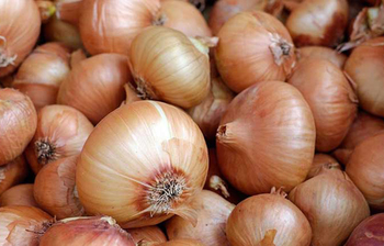 জেনে নিন প্রতিদিন একটি কাঁচা পেঁয়াজ খাওয়ার ১০ উপকারিতা