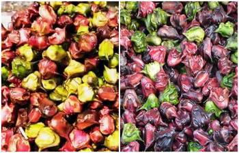 পানিফল কেন খাবেন?