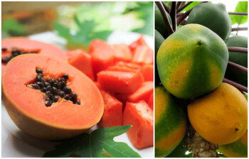 নিয়মিত পেঁপে খাবেন কেন?