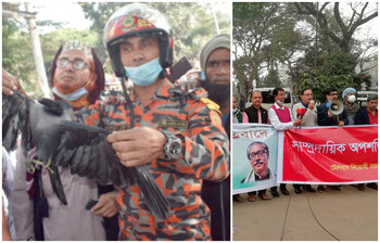 আজকের আলোচিত ছবি : ৯ ডিসেম্বর ২০২০