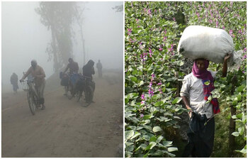 আজকের আলোচিত ছবি : ১৯ ডিসেম্বর ২০২০