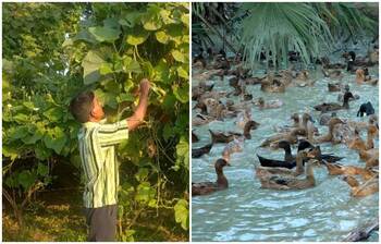 আজকের আলোচিত ছবি : ৬ জানুয়ারি ২০২১