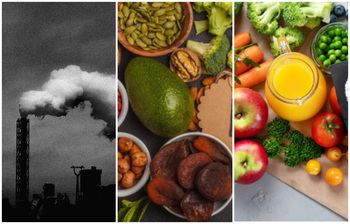 বায়ুদূষণ থেকে ফুসফুস ভালো রাখবে যেসব ভিটামিন