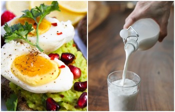 প্রতিদিন কতটুকু প্রোটিন প্রয়োজন?