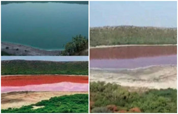 ৫০ হাজার বছরের পুরোনো লেকে গোলাপি পানি!
