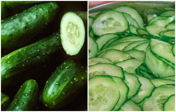 প্রতিদিন শসা খাবেন কেন?