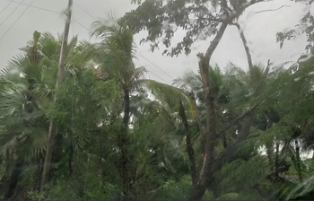 ঘূর্ণিঝড় বুলবুল শক্তি বাড়িয়ে বিপর্যস্ত করেছে ভারতীয় সুন্দরবন
