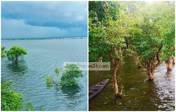বর্ষায় চোখজুড়ানো টাঙ্গুয়ার হাওর