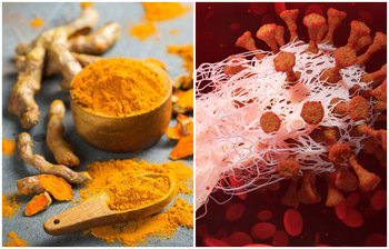 নিয়মিত হলুদ খেলে কি হয়?