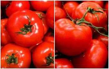 টমেটো যেসব রোগ প্রতিরোধে জাদুর মতো কাজ করে