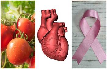 ক্যান্সারসহ শরীরের যেসব রোগের ঝুঁকি কমায় টমেটো