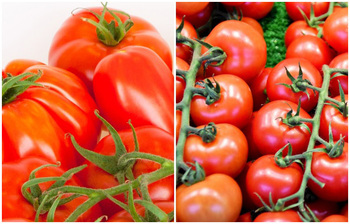 টমেটো সংরক্ষণের সহজ পদ্ধতি