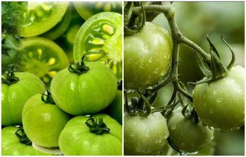 জেনে নিন কাঁচা টমেটোর ৮ গুণ