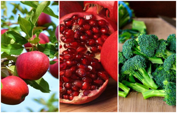 শীতে যেসব খাবার খেলে সুস্থ থাকবেন