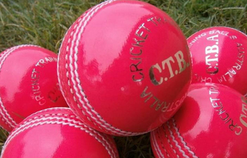 ভারত-বাংলাদেশ টেস্ট ম্যাচের জন্য কয়টা গোলাপি বলের অর্ডার হলো?