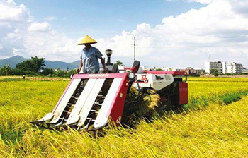 যে দেশে স্নাতক পাস করতে হলে আগে ভালো চাষি হতে হয়