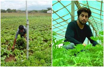যিনি ইঞ্জিনিয়ারিং ছেড়ে কৃষি কাজে দিনে ৪০ হাজার রুপি আয় করছেন