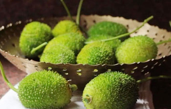 কাঁকরোলের রয়েছে ৫টি আশ্চর্য স্বাস্থ্যগুণ